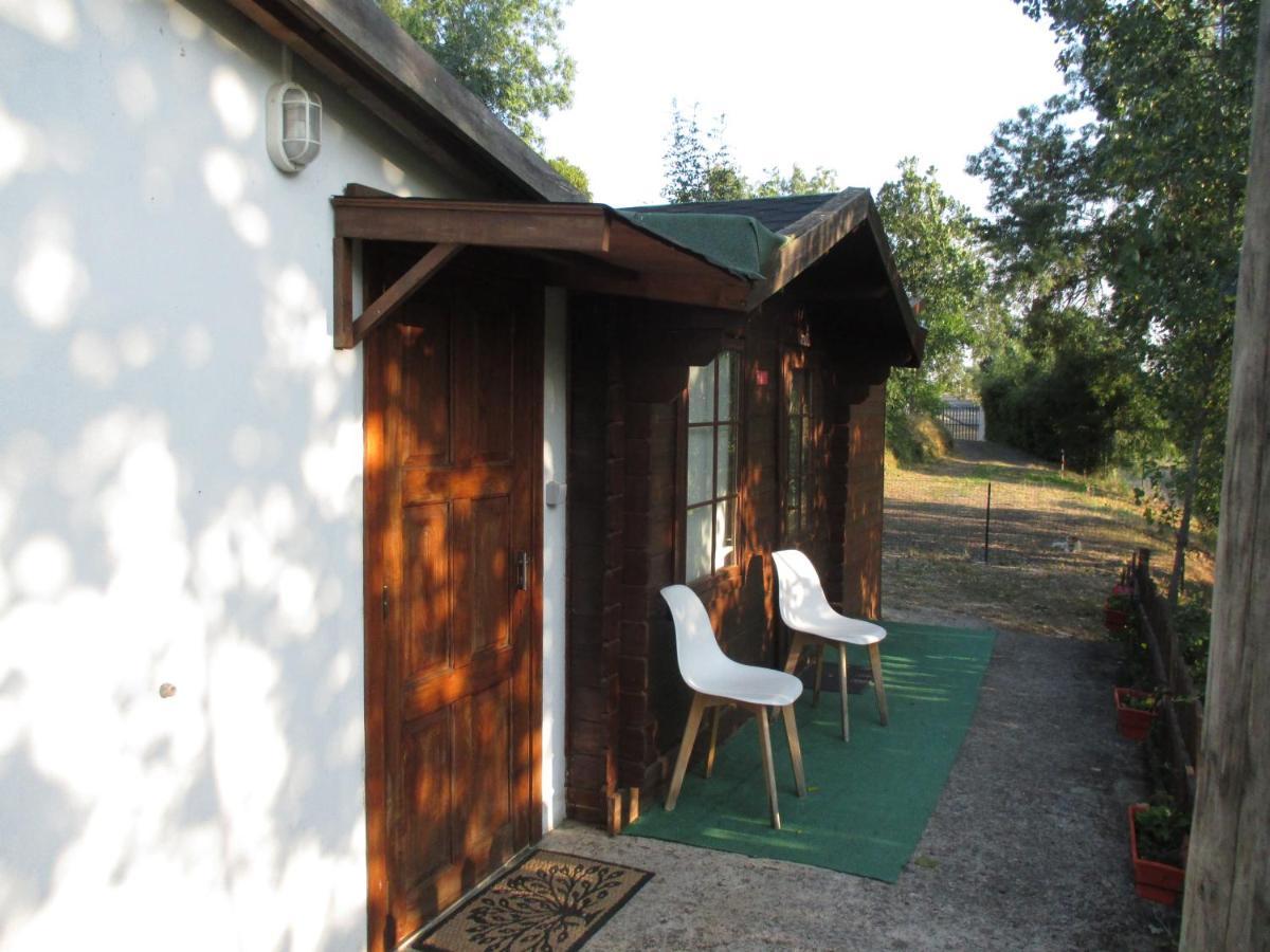 Bungalow "A Choupana" - Quinta Da Carvoica - Vale Pradinhos Vale de Pradinhos Екстериор снимка